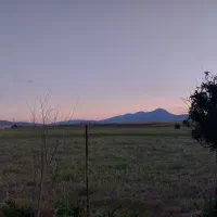 زمین-باغی