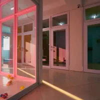پانسیون گربه و سگ سایمون کت