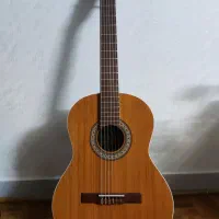 گیتار کلاسیک پارسی