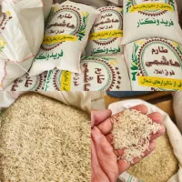 برنج اقتصادی در همه مدل با قیمت استثنایی به شرط