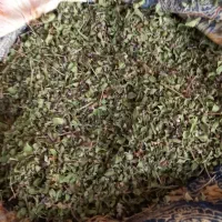 آویشن کوهی خشک شده تمیز بدون آشغال