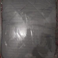 پتوروتختی