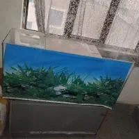 اکواریوم یک متری