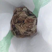 خرید نان خشک برا اردک