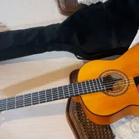 فروش گیتار نو