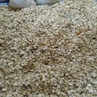 موسیر تازه قیمت ۲۰۰۰۰تومان