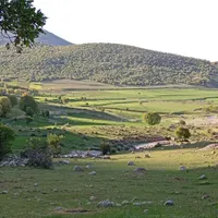 کارت پایان خدمت گم شده
