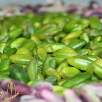 خریدار نقدی پسته کال و کالک شما هستیم