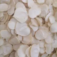 موسیر خشک کوهی