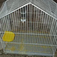 قفس پرنده