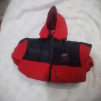 کابشن