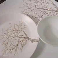 آکروپال ۲۴ نفره کاملا نو