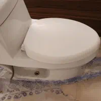 توالت فرنکی