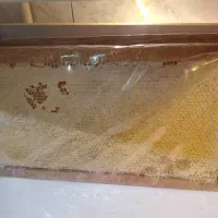 عسل گون گز خالص