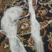 تور سهره شیش متری