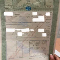ملک-زمین