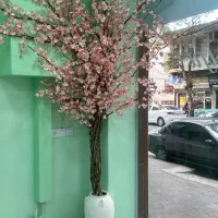 درختچه شکوفه خاص