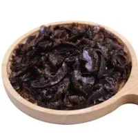 پرلیمو عمانی