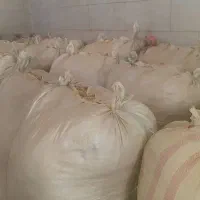 کاه گندم.کاه خوشه