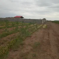 با-سند-تک-برگ