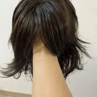کلاه گیس /پوستیژدرحدنو