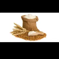 آرد تازه