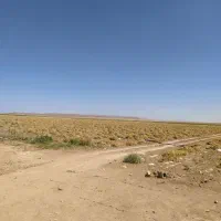 کاه لوبیا