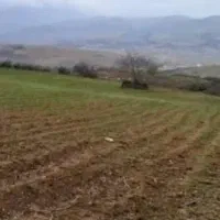 زمین-کشاورزی