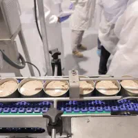 خط تولید کنسرو تن ماهی