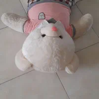 خرس شاسخین