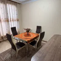 همخونه خانم