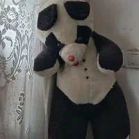 خرس پاندا بزرگ