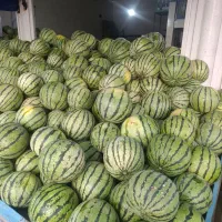 هندوانه درجه یک آناناسی پوست نازک خیلی شیرین
