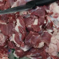 قربانی گوسفند