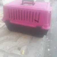 باکس حمل ست گربه ...