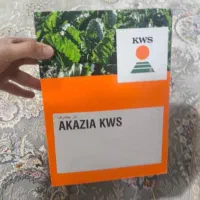 انواع بذر چغندر شرکتی