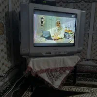 تلویزیون همراه با دیجیتال و میز