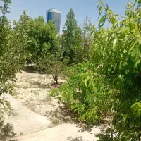 باغ-ثمری-با-آب-برجاده-اصلی