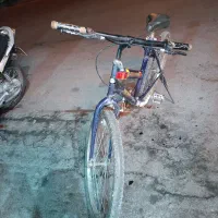 دوچرخه تایوان اصل