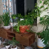 گل و گلدان