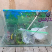 اکواریوم
