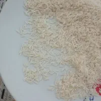 برنج صدری برقی