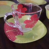 ارکوپال فرانسه