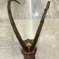 تندیس شاخ دکوری