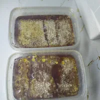 عسل سهند زنبور گل بهار طبیعی