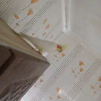 عروس هلندی معاوضه