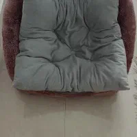 خانه سگ و گربه برند Nina pet