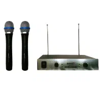 میکروفن بی سیم دو کانال شیتاچی