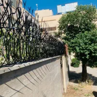 حفاظ شاخ گوزنی