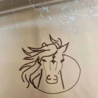 انجام پروژه های نرم‌افزاری از ورد تا تری دی مکس